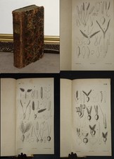 ALTES PFLANZENBUCH VON 1835 KRÄUTERBUCH PFLANZEN HEILPFLANZEN VIELE KUPFERTAFELN