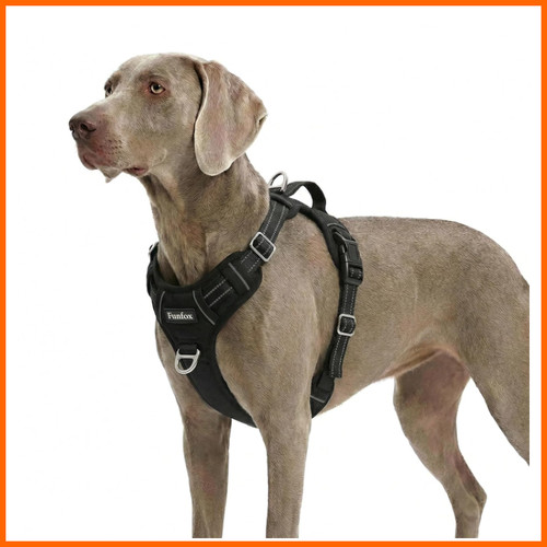 Funfox hundegeschirr - funfox, xl