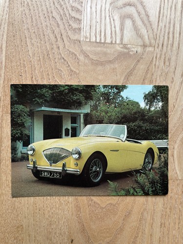 Austin healey 100 bn2 - 100,