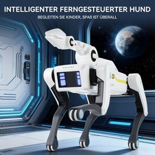 Roboter Hund für Kinder