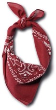 Bandana Paisley Kopftuch