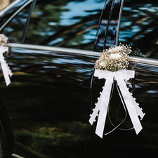 50 Stück Autoschleifen