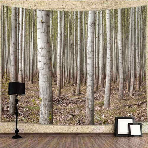 Birke wald natur poster xxl - wald,