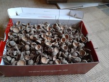 Eichelkappen Eichelhütchen