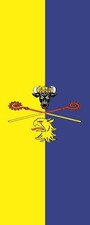 Fahne Flagge Landkreis Rostock