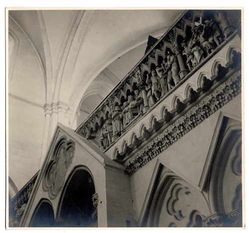 Fotografie georg fiedler - fotografie,