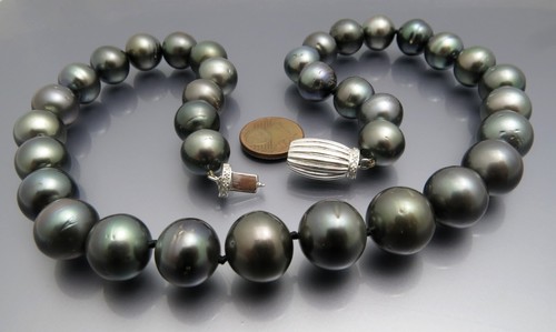 Reif design feine tahiti - reif-design,