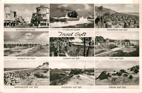 Sylt insel schleswig - sylt, schleswig-holstein