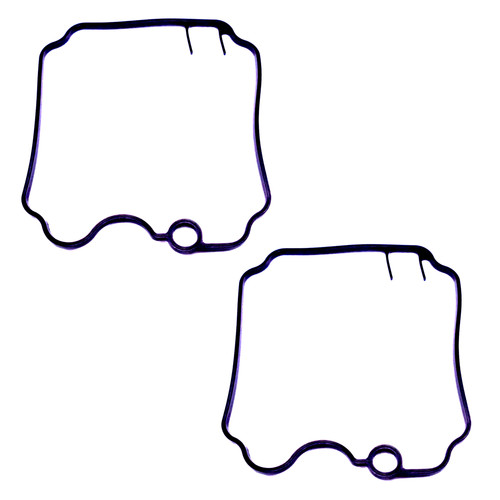 Vergaser - 2x,