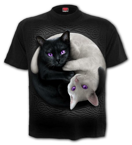 Yin yang katzen - katzen, t