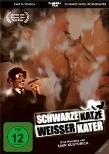 Schwarze katze weißer kater - schwarze,