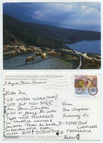 60051 kreta schafherde auf - -,