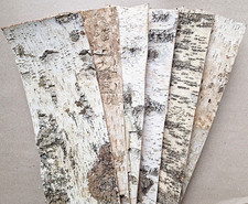 ❀ 6 x Große Platten Birkenrinde Basteln 48 x 15 cm Baum Rinde Birke geschält KRO