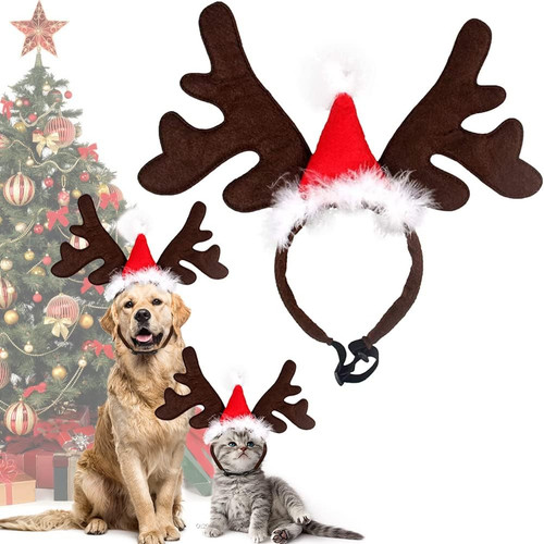 Weihnachten haustier - weihnachten,