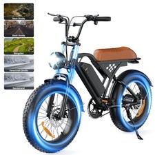 20" 250W Power E-Bike Fatbike Doppel-Sitz Elektrofahrrad Multifunktionsfahrrad