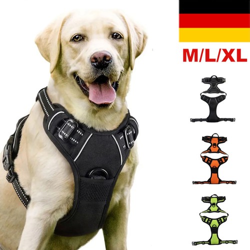 Hundegeschirr