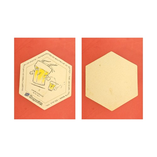 Hoegaarden capricornus - hoegaarden,