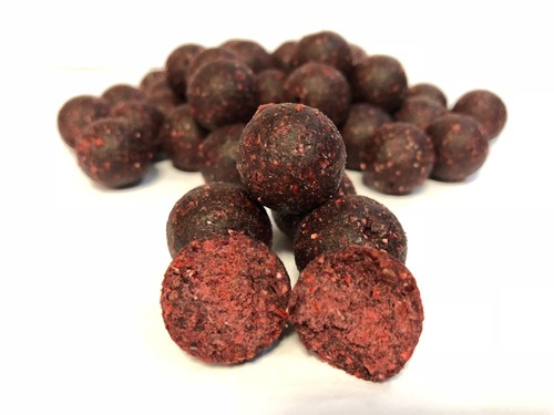 Carpfood instant boilies - carpfood,