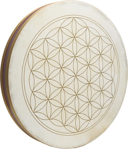 Meinl sonic energy wd22fol - energy, 22"