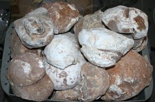 Achat   Mineral Rohstein  Brasilien Rohstein  Nr. 9601