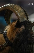 Suche 2 Tickets für ein