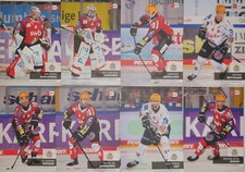 DEL Playercards 2024/2025 24/25 Fischtown Pinguins Einzelkarten zum aussuchen