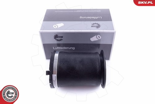 Pneumatische feder - pneumatische,