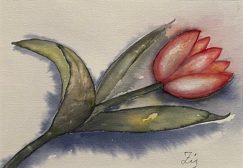 Tulpe original aquarell - original,