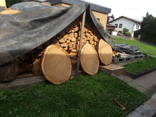 Baumscheibe xxl eiche 50 - ~45,