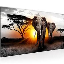 Wandbild Wohnzimmer Afrika Elefant Schlafzimmer Flur Deko Bild XXL 100x40 cm