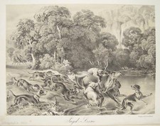 Jäger Hirsch Treibjagd