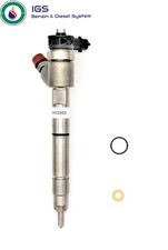 Injektor Einspritzdüse