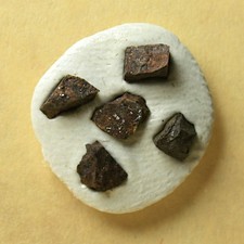 5 Splitter Meteorit Gao-Guenie - Chondrit aus Burkina Faso - zusammen 0,18g
