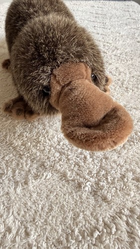 Seltenes steiff kuscheltier - seltenes,