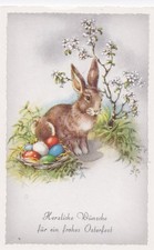 Alte Glückwunsch - Postkarte Ostern - Hase und Osternest gelaufen 1959 Schweiz