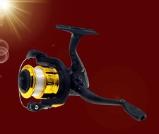 leichte kleine 🐟 ANGELROLLE