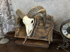 Gothic Wanddeko Widderschädel mit Ketten Trophäe Dekoration