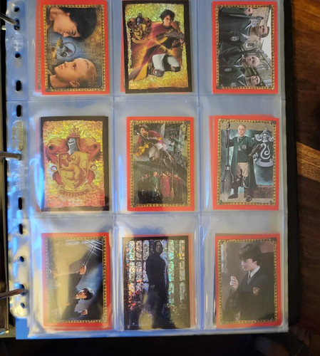 Panini harry potter kammer - harry,
