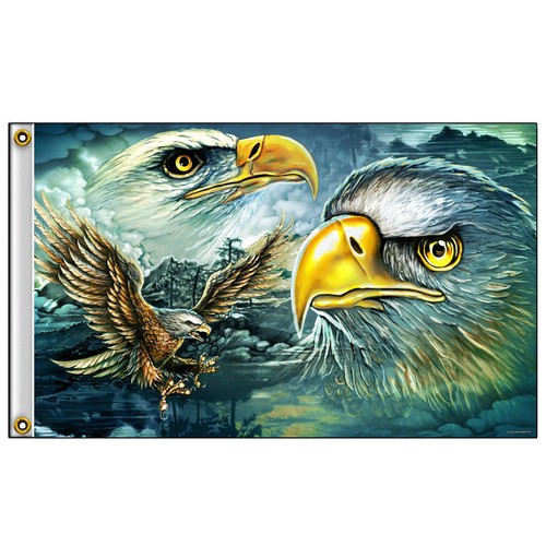 Chopper biker motorrad - biker, eagle