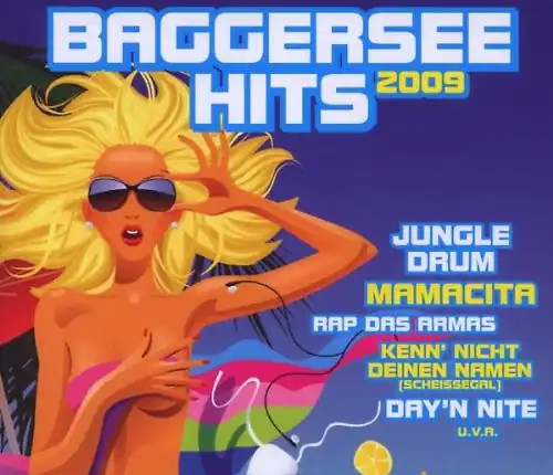 Various baggersee hits 2009 - various,
