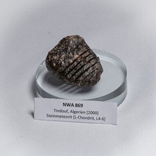 NWA 869 | Meteorit 23 g | geschnitten | Chondrit | Sternschnuppe | Heilstein!