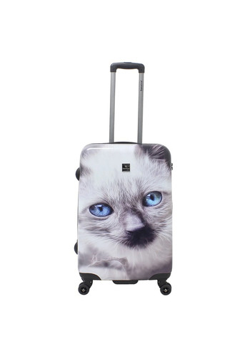 Saxoline white cat - white,