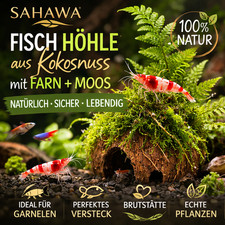 Kokosnuss höhle aquarium - kokosnuss,