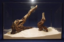 Aquarium Wurzel - SET /