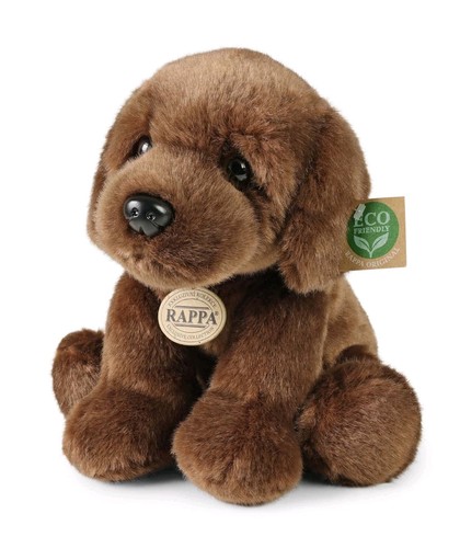 Hund labrador retriever - hund,