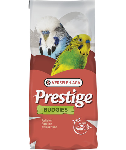 Prestige wellensittiche imd - prestige,