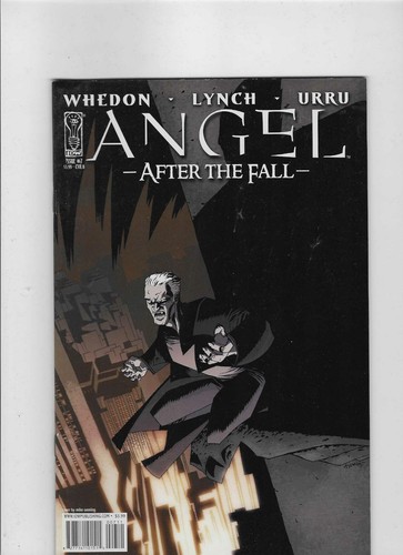 Angel after the - fall, cover