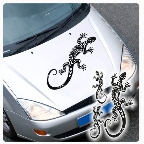 Tribal gecko gekko - gecko, 3er