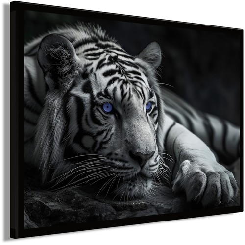 Wandbild gerahmt tiger mit - wandbild,