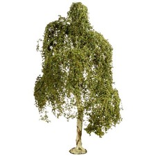 Noch 20120 baum - noch,
